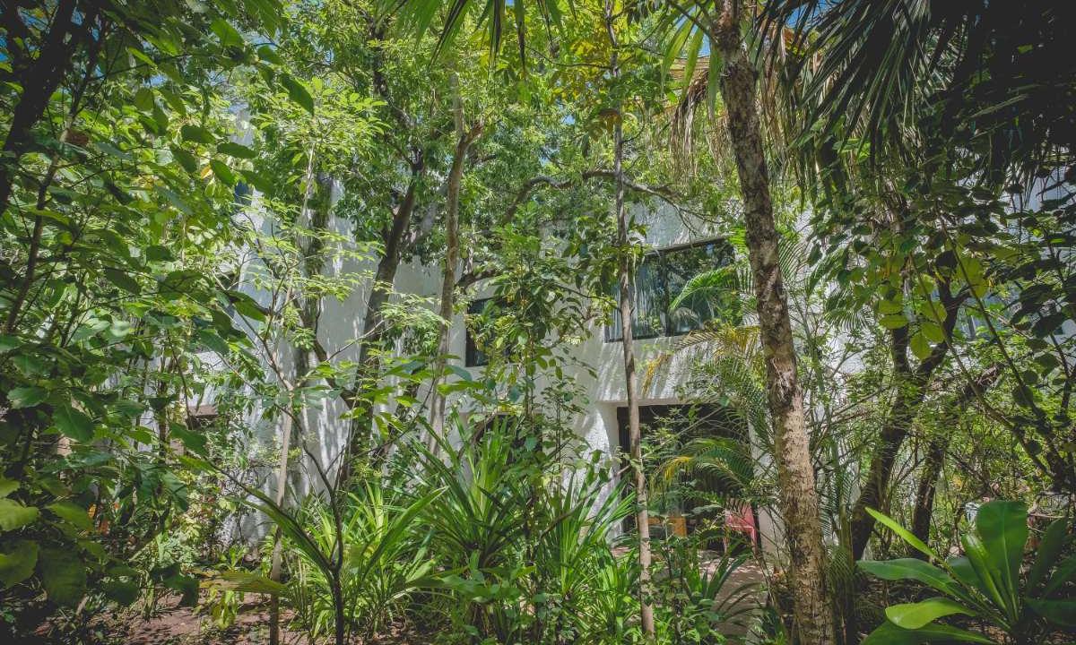 Fachada Hotel Sotavento & Yatch Club Cancún Fachada Hotel Sotavento & Yatch Club Cancún